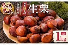 ＜期間限定＞国産 低温熟成栗（生栗）1kg 糖度15度以上 熟成宝珠栗 産地直送 宮崎県新富町産【B671】
