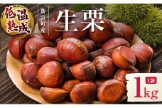 ＜期間限定＞国産 低温熟成栗（生栗）1kg 熟成宝珠栗 産地直送 宮崎県新富町産【B671】