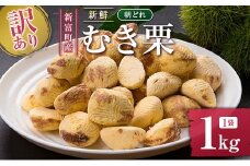 ＜訳あり＞期間限定 国産 新鮮朝どれ（むき栗）1kg 産地直送 お取り寄せ 宝珠栗 宮崎県新富町産【B673】