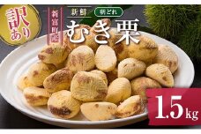 ＜訳あり＞期間限定 国産 新鮮朝どれ（むき栗）1.5kg 産地直送 お取り寄せ 宝珠栗 宮崎県新富町産【C448】