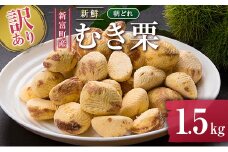 ＜訳あり＞期間限定 国産 新鮮朝どれ（むき栗）1.5kg 産地直送 お取り寄せ 宝珠栗 宮崎県新富町産【C448】