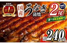 ＜2025年11月お届け＞うなぎ 鰻楽 国産 蒲焼 ご家庭用 2尾 計240g以上（120g×2尾）おすすめ 冷凍 簡単調理 個包装 鰻 魚介【B666-2511】