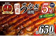 ＜2025年12月お届け＞うなぎ 鰻楽 国産 蒲焼 ご家庭用 5尾 計650g以上（130g×5尾）おすすめ 冷凍 簡単調理 個包装 鰻 魚介【D144-2512】