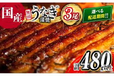 ＜2025年11月お届け＞高評価!! うなぎ 鰻楽 国産 蒲焼 3尾 人気 無頭 計480g以上 おすすめ 冷凍 簡単調理 個包装 鰻 魚介 贈答品 ギフト 贈り物【C444-2511】