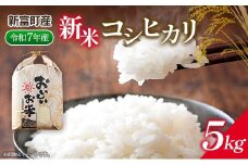 新米コシヒカリ5kg ※令和7年産 宮崎県新富町産【B674】
