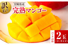 先行予約 ＜訳あり＞ 完熟マンゴー 宮崎県産 2Lサイズ 2玉 フルーツ 果物【B615-26】