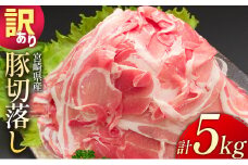 ＜配送月が選べる!!＞小分けで便利！10パックでお届け＜訳あり 宮崎県産 豚切落し 5kg＞2025年12月にお届け【C325-2506-202512】