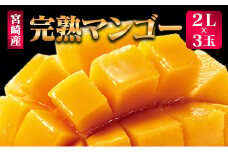 ＜先行予約＞ 完熟マンゴー 2Lサイズ 3玉 南国宮崎からお届け!! フルーツ 果物 人気 贈答品【C246-26】