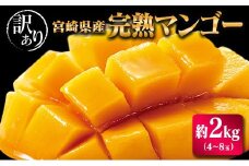 宮崎県産「訳あり」完熟 マンゴー 約2kg（4～8玉）先行予約 南国 フルーツ 果物【C400-26】