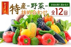 ＜数量限定＞新富町 特産 野菜 詰め合わせ 定期便 12か月コース 旬 やさい 国産 ≪2026年1月配送開始≫【G51-26】