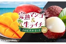 完熟マンゴー＆生ライチ トロピカルセット ≪2026年産≫ 宮崎県産 数量限定 人気 フルーツ 果物 詰め合わせ 化粧箱入り【C74-26】