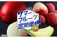 サマーフルーツ定期便 全2回 ＜メロン・マンゴー＆ライチ＞※2026年6月開始 旬 果物【E242】