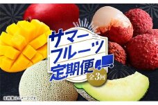 サマーフルーツ定期便 全3回＜メロン・マンゴー・ライチ＞ ※2026年5月開始 旬 果物【E244】