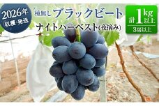 ［ご自宅・ご家庭用］ぶどう 2026年収穫・発送 ナイトハーベスト（夜摘み）種なし『ブラックビート』計1kg以上 3房以上 希少 人気 ブドウ フルーツ 果物【B682】