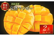 ＜数量限定＞清緑香園 完熟マンゴー 3L×2玉 宮崎県産 果物 フルーツ 先行予約 ※2026年5月下旬～【C233-26】