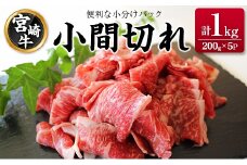 宮崎牛 小間切れ 便利な小分け 200g×5P 計1kg 人気 冷凍 国産【C449】