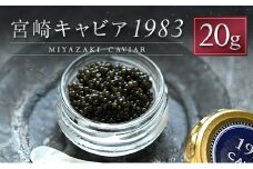 宮崎キャビア1983 計20g 贈答品 高級 魚卵 国産【E247】
