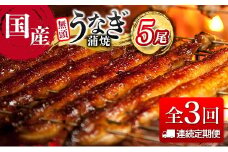 ＜連続定期便＞国産 うなぎ 定期便 鰻楽 蒲焼 家庭用 5尾セット（11月,12月,1月お届け）全3回 数量限定 無頭 高評価 おすすめ 冷凍 簡単調理 個包装 鰻 魚介 贈答品 ギフト 贈り物【E251】