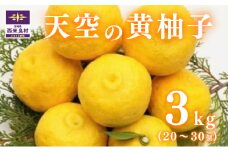 天空の黄柚子  九州 宮崎 西米良村 柚子 ゆず
