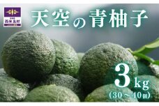 天空の青柚子 九州 宮崎 西米良村 柚子 ゆず