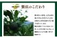 黄柚子の皮も薄く剥いた後、細かくして塩とあわせます