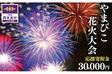 第49回やまびこ花火大会応援寄付金  西米良村応援寄付金  30,000円　花火大会　九州　返礼品なし　応援	