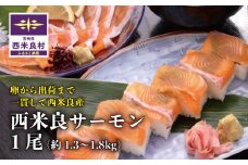 西米良サーモン 1尾　魚 海鮮 サーモン  刺身 完全無投薬 人気 ふるさと 海鮮食品 魚介類 魚介 鮭 カルパッチョ マリネ 完全無投薬 宮崎県 西米良村　