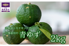 乳酸菌とカテキンで育成した有機栽培の青ゆず2キロ※8月下旬より発送開始