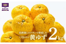 【2024年11月より順次発送】黄柚子 2kg　有機栽培　かんきつ　柑橘　ユズ　ゆず　宮崎県　西米良村