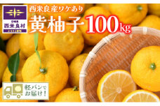【訳あり】黄柚子 100kg　(九州管内軽バンでお届けします ※沖縄県を除く) かんきつ　柑橘　ユズ　ゆず有機栽培　宮崎県 西米良村