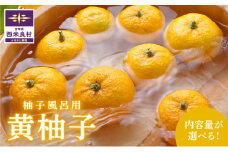 B級黄柚子1kg（ゆず風呂におすすめ）