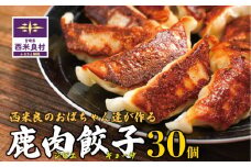 鹿肉餃子　鹿肉 ジビエ 焼き餃子 水餃子 国産 いとまき倶楽部 宮崎県 西米良村 