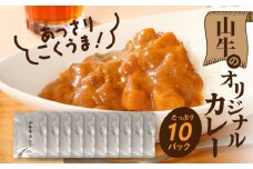 山牛のオリジナルカレー10パックセット K16_0012_1