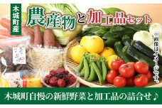 木城町産農産物と加工品セット  K04_0001_2