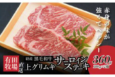木城白木八重牧場育ちの黒毛和牛贅沢の極み芯柱グリムキサーロインステーキ360g  K20_0008_2