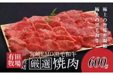木城白木八重牧場育ちの黒毛和牛厳選焼肉 600g  K20_0012_3
