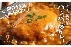 レトルト ハンバーグカレー 9パック  K16_0042_2