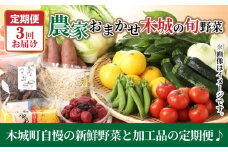 農家おまかせ木城の旬野菜定期便3回 K04_T001_2