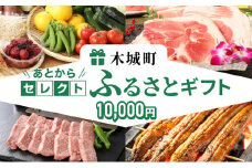 あとからセレクト【ふるさとギフト】１万円 K99-001