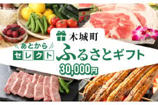 あとからセレクト【ふるさとギフト】３万円 K99-003