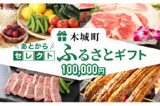 あとからセレクト【ふるさとギフト】１０万円 K99-010