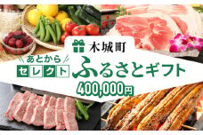 あとからセレクト【ふるさとギフト】４０万円 K99-040