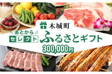あとからセレクト【ふるさとギフト】３０万円 K99-030