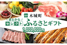 あとからセレクト【ふるさとギフト】１００万円 K99-100
