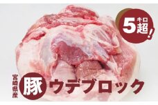 宮崎県産豚ウデブロック５kg超  K16_0014_10 国産豚肉 ウデ肉 かたまり肉 5キロ 冷凍 大容量 ブロック肉 塊肉 大きい お好みにカットできる 届いたらご自宅でカット 送料無料