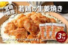 宮崎県産若鶏の生姜焼き3kg  K16_0060_2