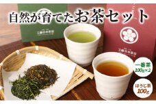 自然が育てたお茶セット K11_0001_2