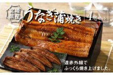 宮崎県産 うなぎ 蒲焼き 4尾セット	 K10_0015_2 