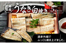 宮崎県産 うなぎ 白焼き 5尾セット K10_0012_2 