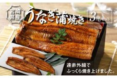 宮崎県産 うなぎ 蒲焼き 3尾セット K10_0009_3 